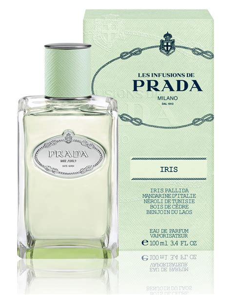 prada infusion d'iris notes|prada infusion d'iris 50ml.